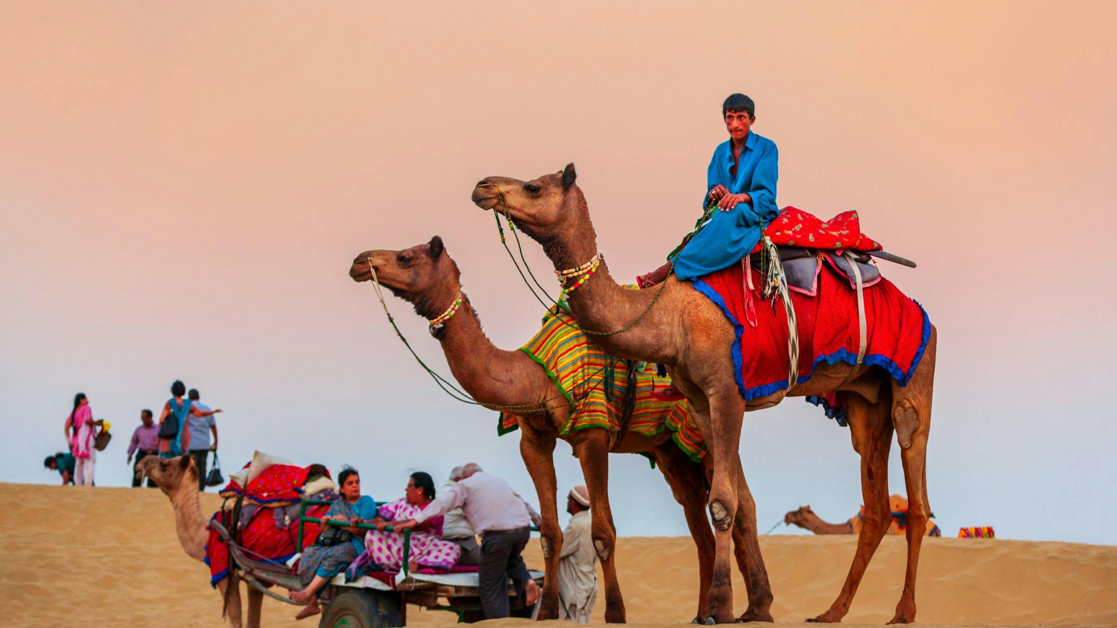 Experience the Thrill of an Evening Desert Safari